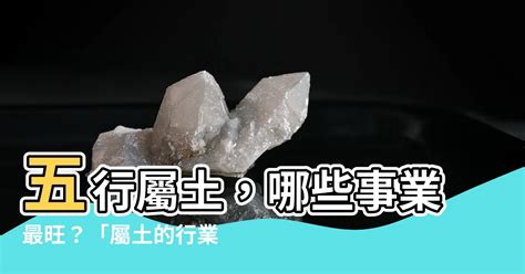 神明座 五行屬土的行業